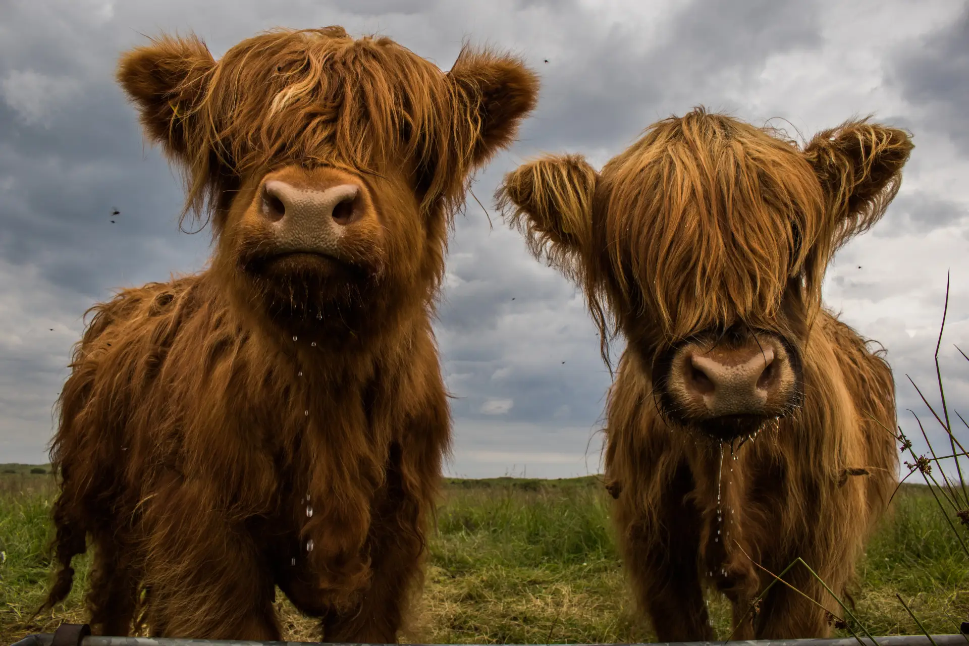 Personalized Tours with Celtic Transfers | Explore Scotland's Finest Destinations